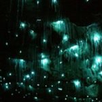 60 Minute Balloon Flight + Breakfast + Evening Glow Worm Tour