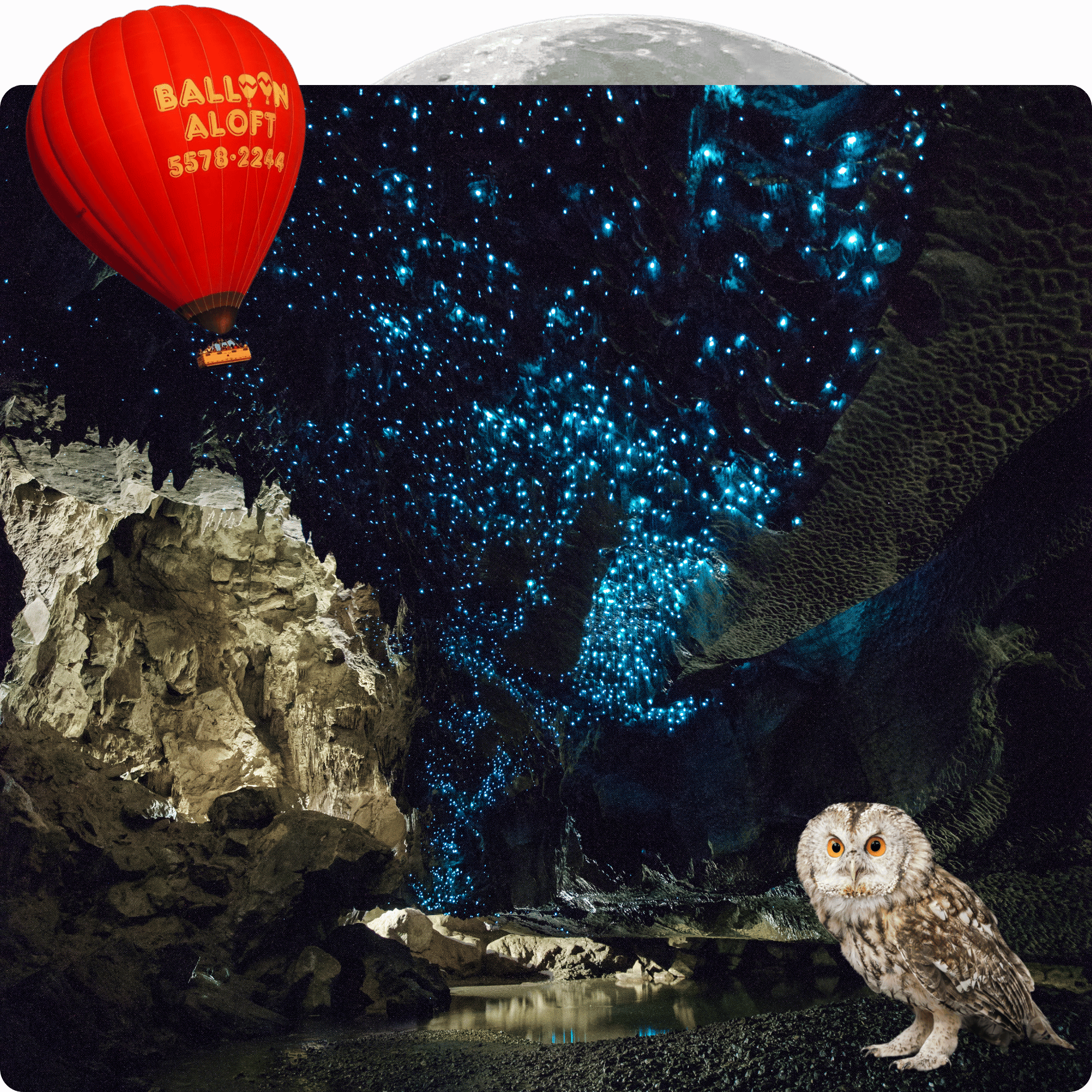 60 Minute Balloon Flight + Breakfast + Evening Glow Worm Tour