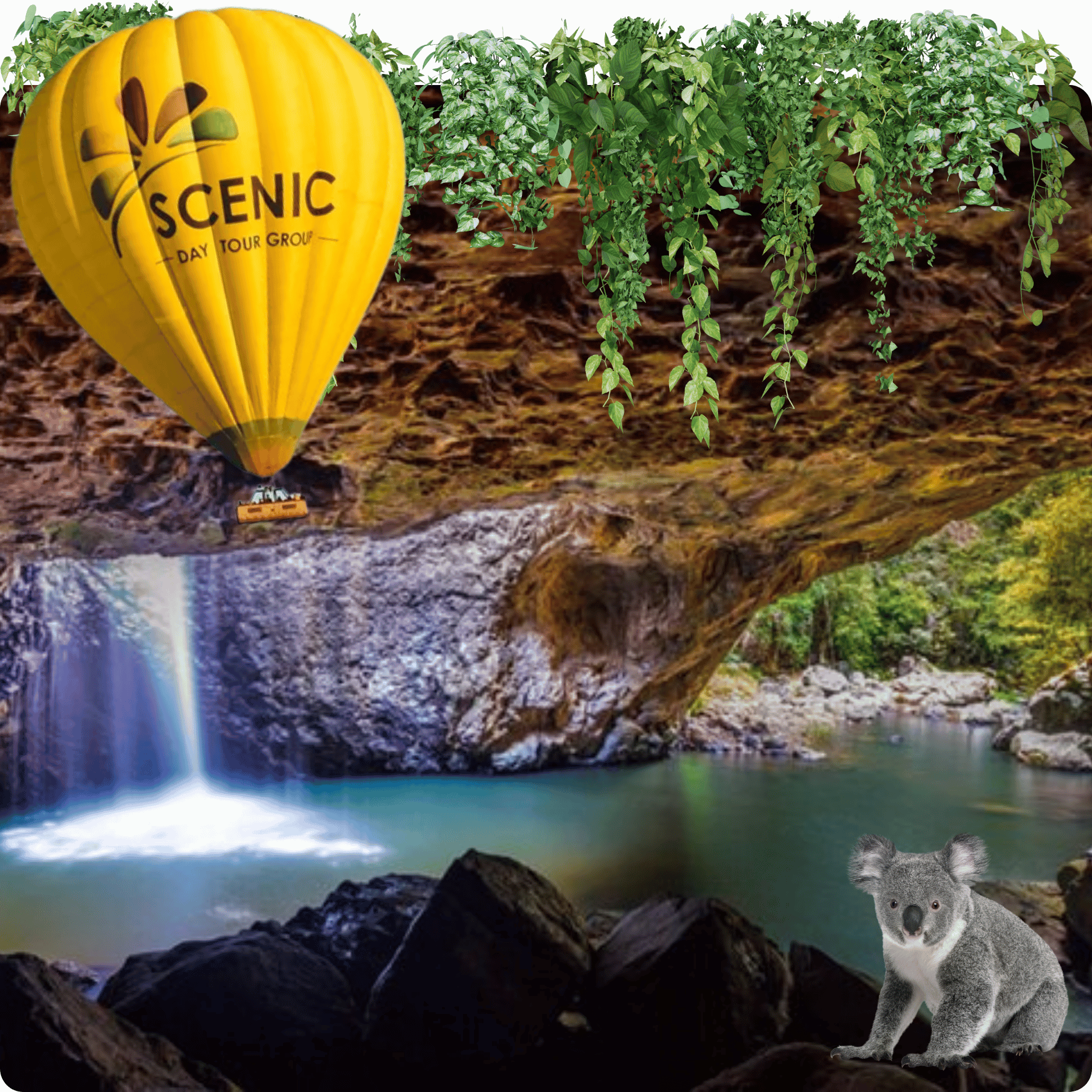 60 Minute Balloon Flight + Breakfast + Springbrook Day Tour