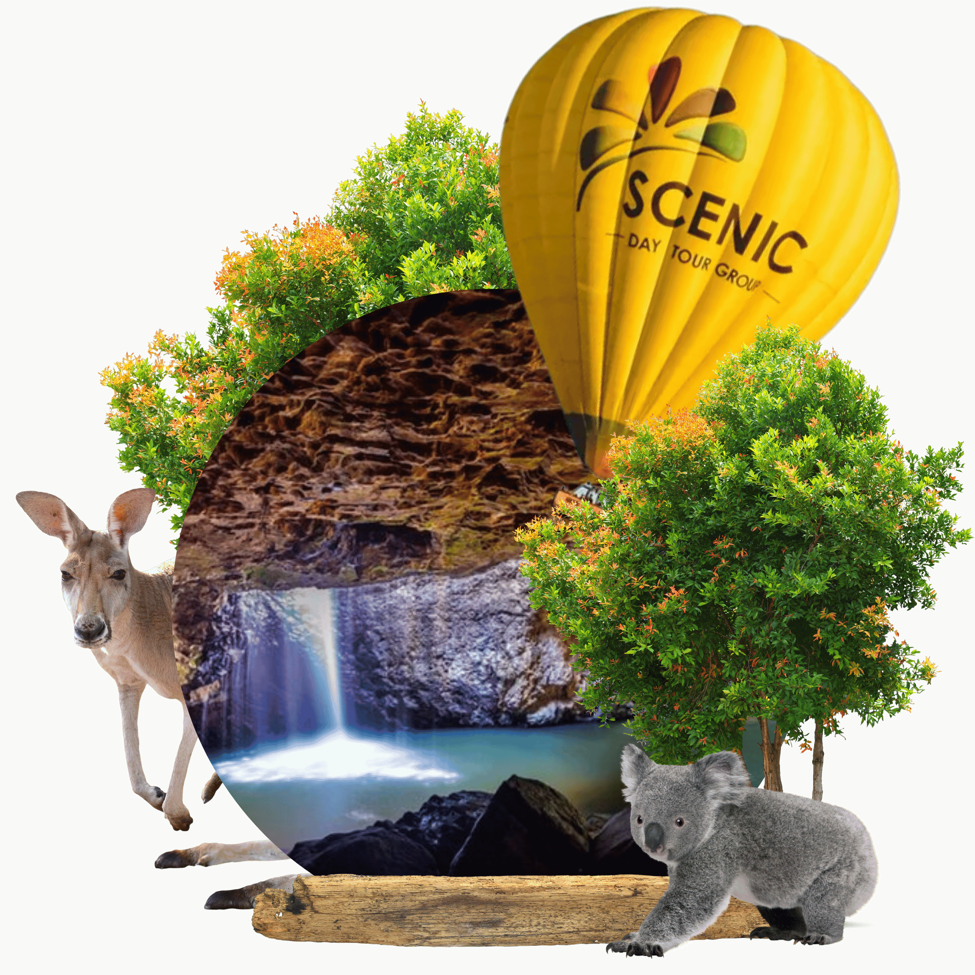 60分の気球飛行 + 朝食 + スプリングブルック日帰りツアー