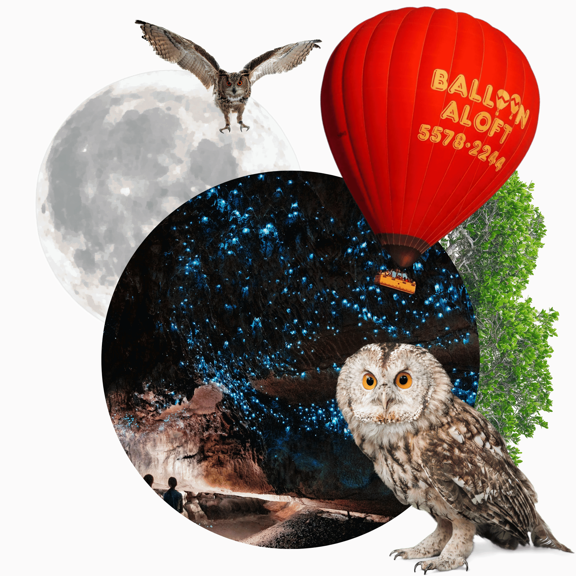 60 Minute Balloon Flight + Breakfast + Evening Glow Worm Tour